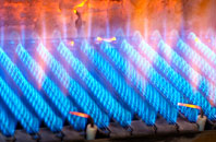 Evershot gas fired boilers